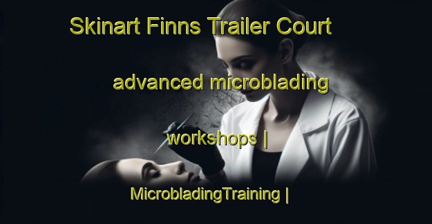 Skinart Finns Trailer Court advanced microblading workshops | MicrobladingTraining | MicrobladingClasses | SkinartTraining-United States
